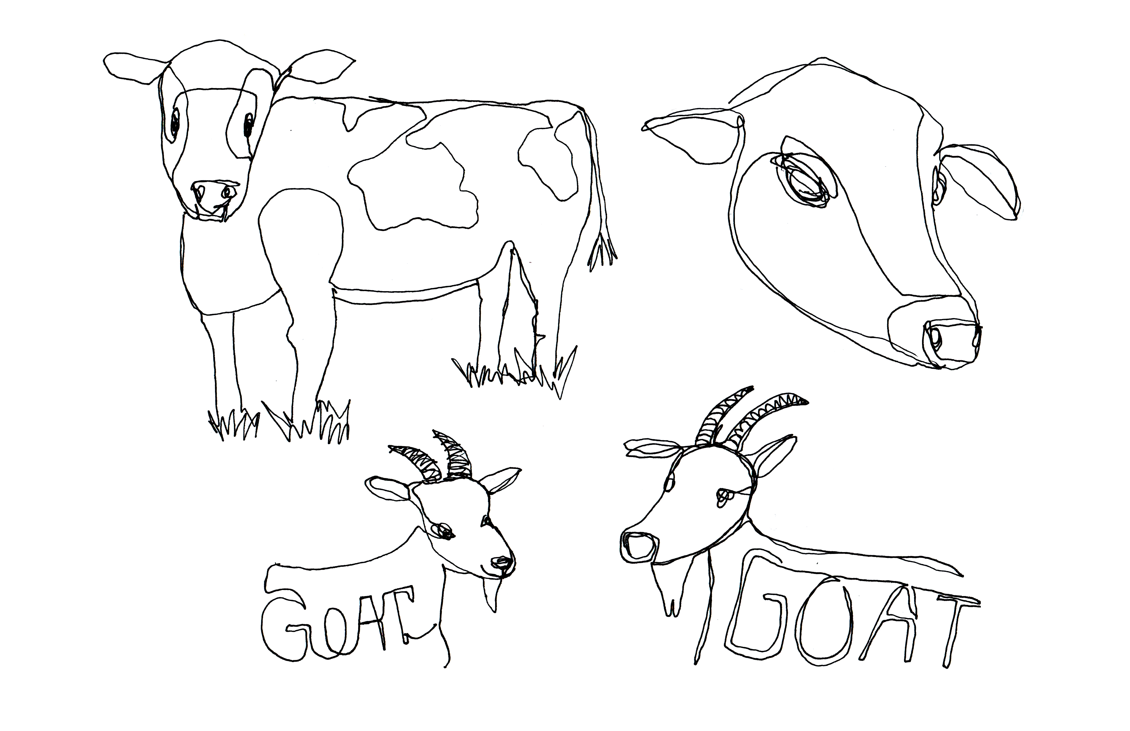 continuous line cows and goats